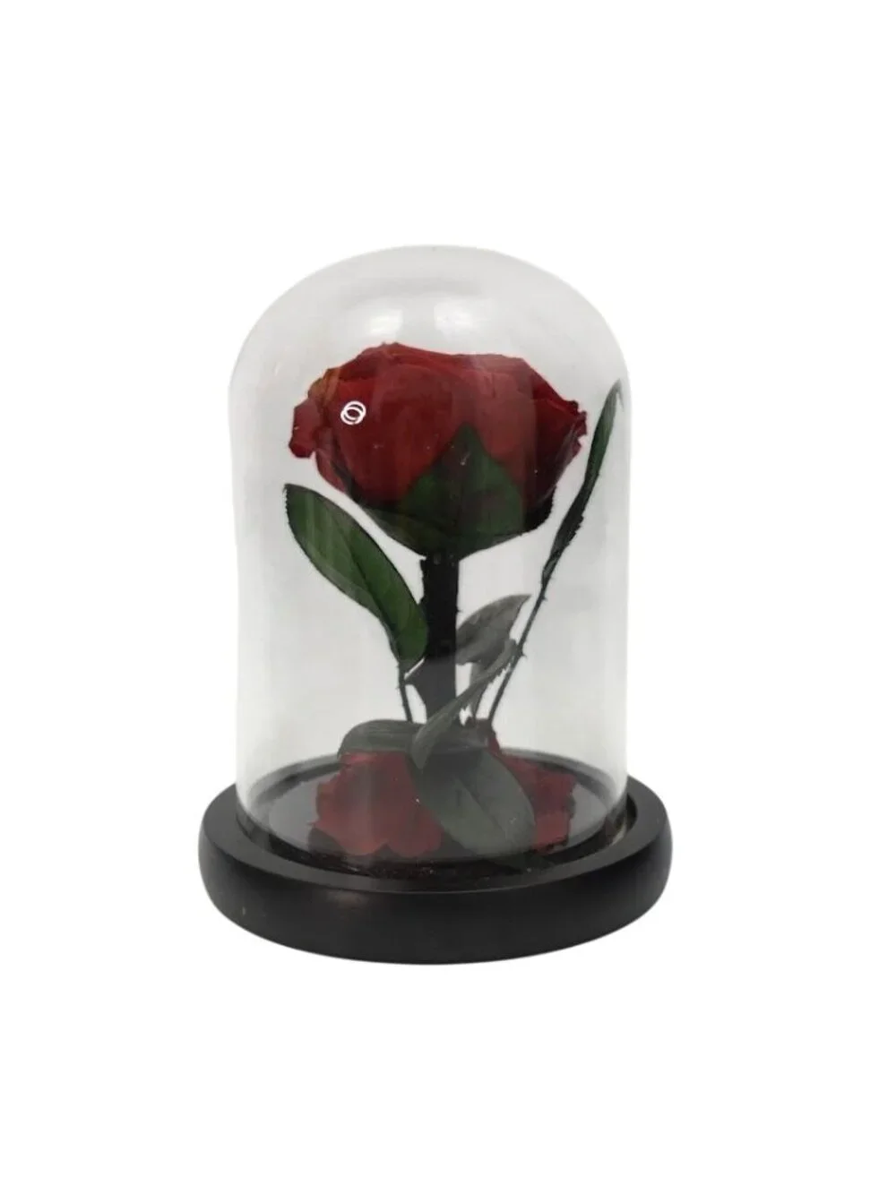 Preserved Red Rose Glass Cloche Dome Beauty Beast Eternal Flower Romantic Box